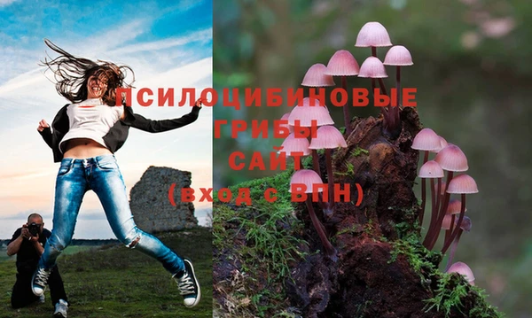 бутират Белоозёрский